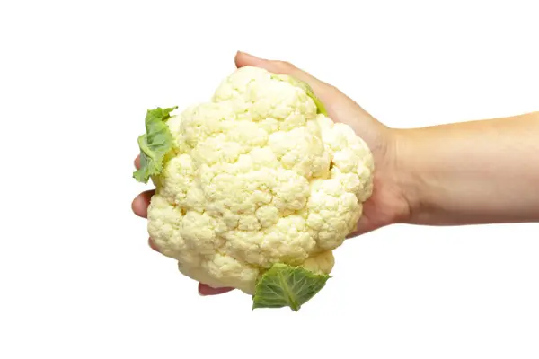 Woman Holding Cauliflower Cauliflower Cabbage Isolated White Background — Stock Photo, Image