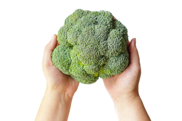 Woman Holding Broccoli Broccoli Cabbage Isolated White Background — Stock Photo, Image