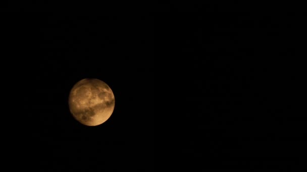 Pełnia Księżyca Nocy Kryje Się Chmurą — Wideo stockowe