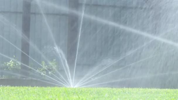草の灌漑 庭灌漑スプリンクラー散水芝生 — ストック動画