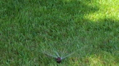 çim sulama Bahçe Sulama yağmurlama