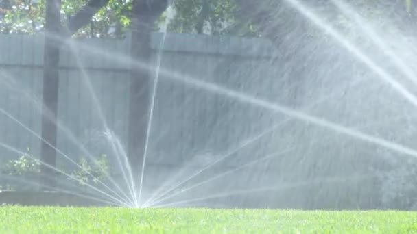 Gräsbevattning Trädgård Bevattning Sprinkler Vattning Gräsmatta — Stockvideo