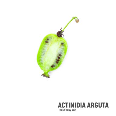 Baby kiwi or actinidia arguta isolated on white background. Top view clipart