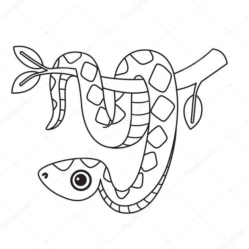 Smiling boa hanging on a tree branch. Vector coloring book page. Cute snake illustration isolated on a white background
