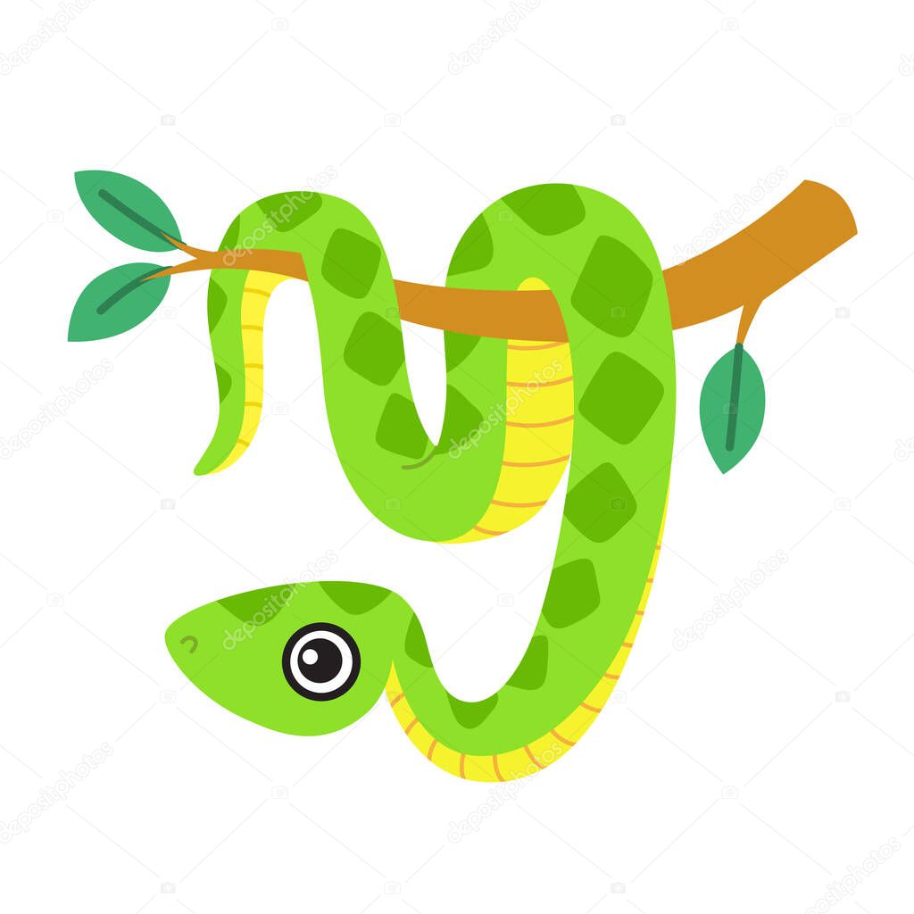 Cute snake, a smiling boa character hanging on a tree branch. Vector illustration on white background