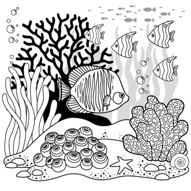 Vector coloring book page for adults. Black and white background illustration of underwater life, sea creature, shell, algae and fish