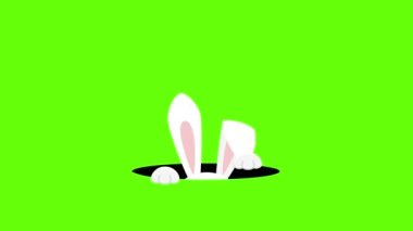 Cute bunny looks out of a hole, 4K animation on a on a green screen, chroma key background for transparent use. Hare, rabbit, bunny for Easter design