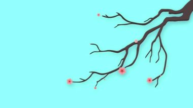 Sakura blossom branch. Motion background for Women's Day, Valentine's Day, Mother's Day and Wedding Day