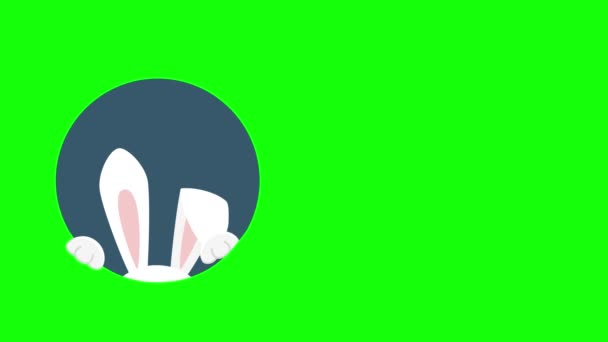 Lindo Conejito Fuera Agujero Animación Una Pantalla Verde Croma Fondo — Vídeo de stock