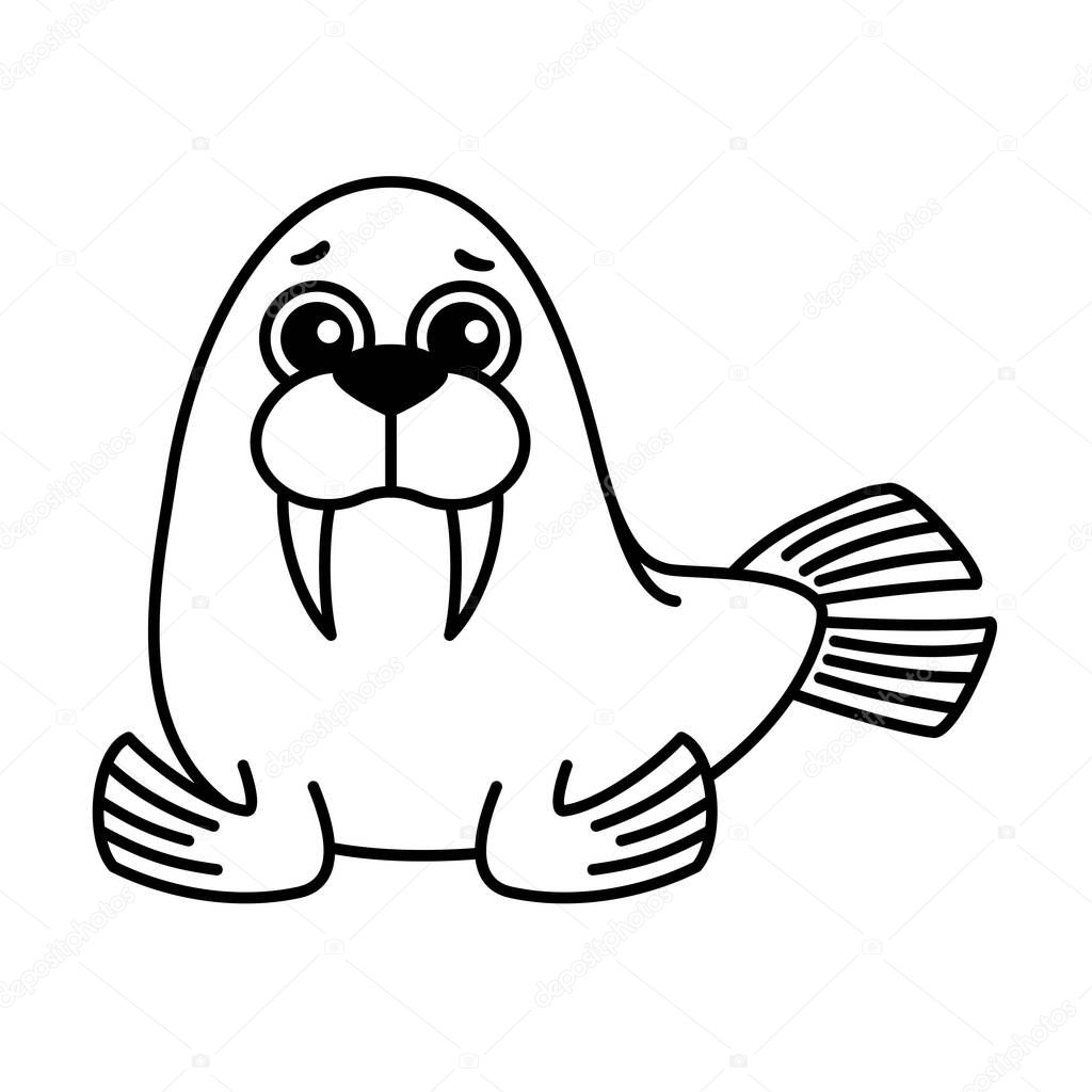 Vector illustration of walrus in a cartoon style
