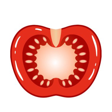 Gerçekçi bir domates diliminin vektör çizimi