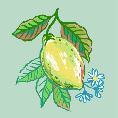 Dalların, meyve, çiçek ve yapraklı limon ağacının temsili çizimi. Kalem stilinde parlak olgun narenciye meyvesi çizimleri koyu arkaplanda çizilir