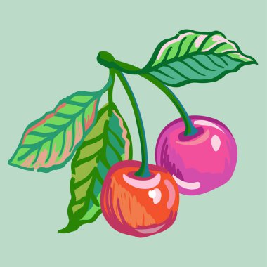 Vector el çizimi kiraz dallarının illüstrasyonu. Arkaplanda izole edilmiş paket tasarımı için parlak olgun meyve çizimi