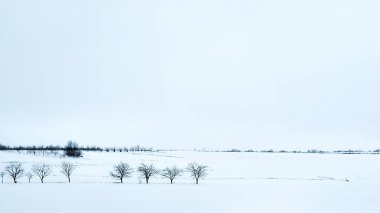 Güzel manzara, doğa manzarası.