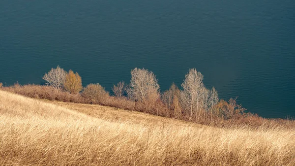 Nehir kenarındaki nehir suyu insanları Ukrayna Ukrayna bozkır bozkır ağaçları su kuşunun yakınındaki su kuşunun yukarısındaki su karısındaki insanlar bozkırdaki adamlar su çimenleri arka planındaki arka planda