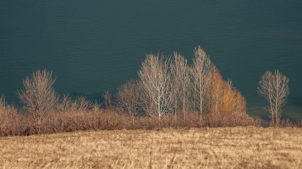 Nehir kenarındaki nehir suyu insanları Ukrayna Ukrayna bozkır bozkır ağaçları su kuşunun yakınındaki su kuşunun yukarısındaki su karısındaki insanlar bozkırdaki adamlar su çimenleri arka planındaki arka planda