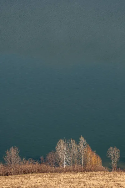 Украинские Степи Деревья Водоплавающей Птицы Над Водою Ворон Над Водой — стоковое фото