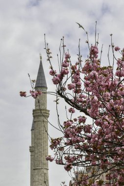 kedi, İstanbul, gemi zili, balıklı martı kuşu, Akdeniz, Galata Kulesi, Altın Boynuz, horozlu kız, deniz, arka plan, bayrak, Türk bayrağı, siyahlı kadınlar, sokak draması, sokaktaki korku, Müslüman kadın