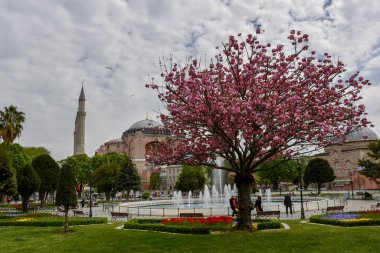 kedi, İstanbul, gemi zili, balıklı martı kuşu, Akdeniz, Galata Kulesi, Altın Boynuz, horozlu kız, deniz, arka plan, bayrak, Türk bayrağı, siyahlı kadınlar, sokak draması, sokaktaki korku, Müslüman kadın