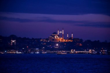 kedi, İstanbul, gemi zili, balıklı martı kuşu, Akdeniz, Galata Kulesi, Altın Boynuz, horozlu kız, deniz, arka plan, bayrak, Türk bayrağı, siyahlı kadınlar, sokak draması, sokaktaki korku, Müslüman kadın