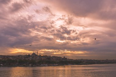 kedi, İstanbul, gemi zili, balıklı martı kuşu, Akdeniz, Galata Kulesi, Altın Boynuz, horozlu kız, deniz, arka plan, bayrak, Türk bayrağı, siyahlı kadınlar, sokak draması, sokaktaki korku, Müslüman kadın