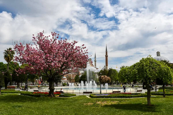 kedi, İstanbul, gemi zili, balıklı martı kuşu, Akdeniz, Galata Kulesi, Altın Boynuz, horozlu kız, deniz, arka plan, bayrak, Türk bayrağı, siyahlı kadınlar, sokak draması, sokaktaki korku, Müslüman kadın