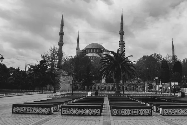 kedi, İstanbul, gemi zili, balıklı martı kuşu, Akdeniz, Galata Kulesi, Altın Boynuz, horozlu kız, deniz, arka plan, bayrak, Türk bayrağı, siyahlı kadınlar, sokak draması, sokaktaki korku, Müslüman kadın