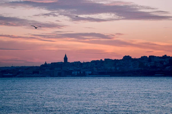 kedi, İstanbul, gemi zili, balıklı martı kuşu, Akdeniz, Galata Kulesi, Altın Boynuz, horozlu kız, deniz, arka plan, bayrak, Türk bayrağı, siyahlı kadınlar, sokak draması, sokaktaki korku, Müslüman kadın