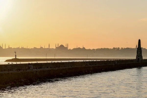 kedi, İstanbul, gemi zili, balıklı martı kuşu, Akdeniz, Galata Kulesi, Altın Boynuz, horozlu kız, deniz, arka plan, bayrak, Türk bayrağı, siyahlı kadınlar, sokak draması, sokaktaki korku, Müslüman kadın