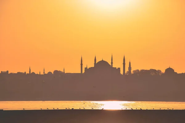 kedi, İstanbul, gemi zili, balıklı martı kuşu, Akdeniz, Galata Kulesi, Altın Boynuz, horozlu kız, deniz, arka plan, bayrak, Türk bayrağı, siyahlı kadınlar, sokak draması, sokaktaki korku, Müslüman kadın