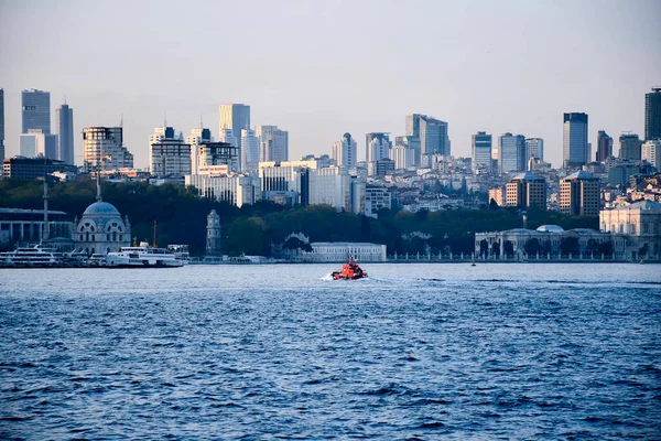 kedi, İstanbul, gemi zili, balıklı martı kuşu, Akdeniz, Galata Kulesi, Altın Boynuz, horozlu kız, deniz, arka plan, bayrak, Türk bayrağı, siyahlı kadınlar, sokak draması, sokaktaki korku, Müslüman kadın