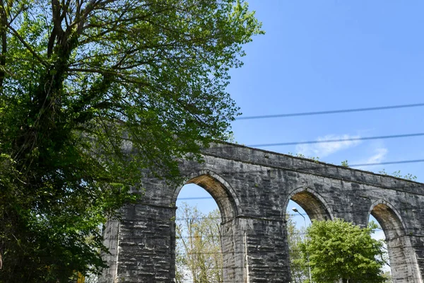 kedi, İstanbul, gemi zili, balıklı martı kuşu, Akdeniz, Galata Kulesi, Altın Boynuz, horozlu kız, deniz, arka plan, bayrak, Türk bayrağı, siyahlı kadınlar, sokak draması, sokaktaki korku, Müslüman kadın