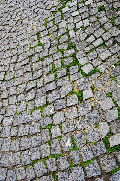 kedi, İstanbul, gemi zili, balıklı martı kuşu, Akdeniz, Galata Kulesi, Altın Boynuz, horozlu kız, deniz, arka plan, bayrak, Türk bayrağı, siyahlı kadınlar, sokak draması, sokaktaki korku, Müslüman kadın