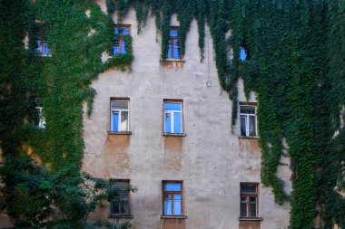 bar, plaj, kuşlar, oğlan ve kız, kedi, telefon, karabatak, köpek, kız, deniz kızı, cam, Odessa, liman, köpek, kum, deniz, martı, sokak fotoğrafı, sokak fotoğrafı, Odessa sokakları, hırsızlar, ukraine