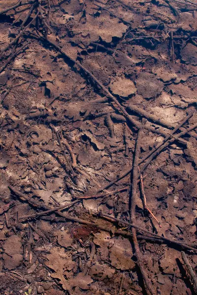 Gökyüzü, manzara, bulutlar, doğa, dağ, gün batımı, bulut, güneş, gün doğumu, dağlar, yolculuk, su, deniz, manzara, plaj, kar, çöl, hava, zirve, panorama, kaya, cennet, kış, bulutlar, ışık,