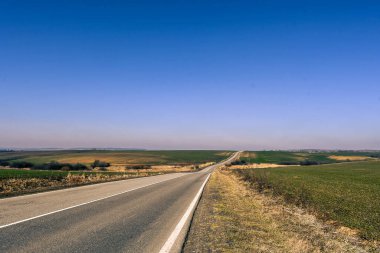 güzellik, güzel, kavak ağacı, arka plan, kabuk, huş, siyah, dal, kontrast, detaylar, çevre, orman, grup, koruluk, uyum, kzww, manzara, yaprak, doğal, doğa, hiç kimse, organik, açık hava, dışarıda, panoramik