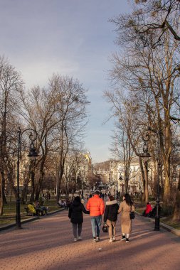 güzellik, güzel, kavak ağacı, arka plan, kabuk, huş, siyah, dal, kontrast, detaylar, çevre, orman, grup, koruluk, uyum, kzww, manzara, yaprak, doğal, doğa, hiç kimse, organik, açık hava, dışarıda, panoramik