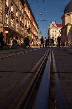 güzellik, güzel, kavak ağacı, arka plan, kabuk, huş, siyah, dal, kontrast, detaylar, çevre, orman, grup, koruluk, uyum, kzww, manzara, yaprak, doğal, doğa, hiç kimse, organik, açık hava, dışarıda, panoramik