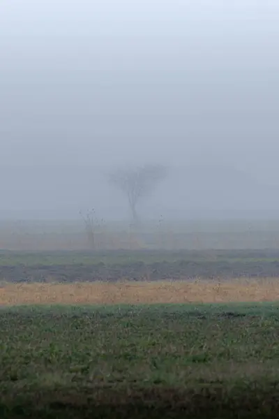 Doğanın güzel manzarası