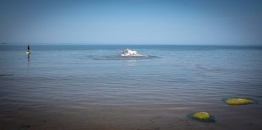 Denizde bir atı yıkamak Denizde bir atı yıkamak