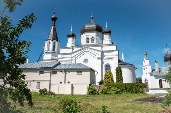 Васкнарвская Православная Церковь Монастырь — стоковое фото