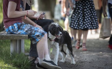 Amerikan Güzellik Araba Fuarı 2023