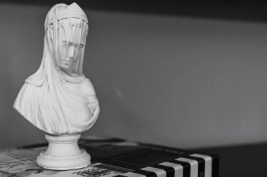 David 'in kafasının bir kitaplıktaki alçıtaşı kopyası. Michelangelo 'nun David Alçı Baskını kitapların üzerinde duruyor. Antik Yunan heykeli, tahta masadaki kahraman heykeli. Eðitim konsepti, ortak alan