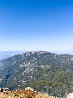 Bir yamaçtan okyanusun nefes kesici panoramik görüntüsü, berrak mavi gökyüzünün altındaki sakin manzarayı yakalıyor..