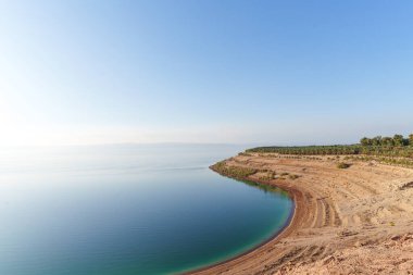 Sakin mavi suların, canlı palmiye ağaçlarının yeşilliğinin ve açık gökyüzünün altında kumlu bir sahilin olduğu pitoresk bir kıyı şeridi. Doğanın dinginliğini ve güzelliğini yansıtıyor..
