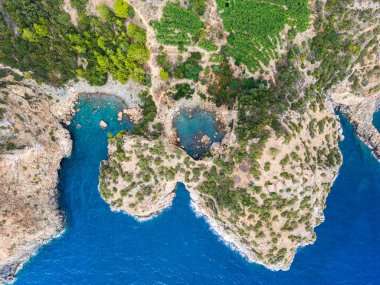 Parlak mavi suları ve yemyeşil yaprakları olan engebeli bir sahil şeridinin sersemletici görüntüsü, yukarıdan doğanın güzelliğini ve sükunetini gösteriyor..