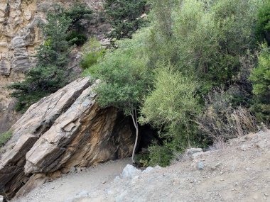 Huzurlu bir yürüyüş yolu engebeli bir kanyonda esiyor, yüksek kaya oluşumları ve yemyeşil yemyeşil.