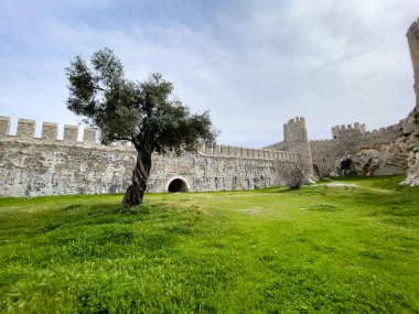 Yeşil Çimen ve Büyük Ağaç ile çevrili Antik Kale Duvarları