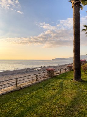 Günbatımı Parıltısı, Palmiye Ağaçları ve Sahil Denizi Sahili