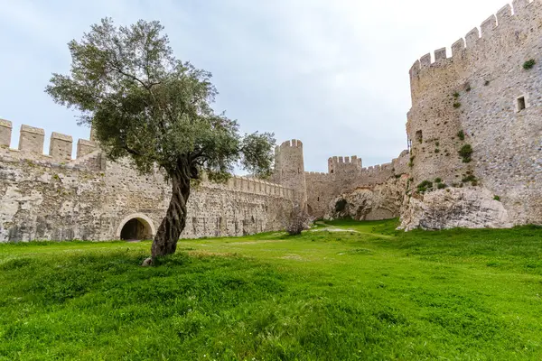 Yeşil doğa arasında tarihi taş tahkimatı, yalnız antik bir ağaç içerir.